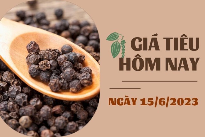 Giá tiêu hôm nay 15/6: Tiếp tục tăng